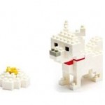 white hokkaido dog