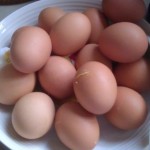 Boiled eggs